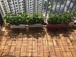 Azulejos de cubierta de madera de acacia con certificación FSC, 300x300x24mm, diseño moderno sin nudos, duradero, acabado al aceite de alta calidad, suelos para exteriores - Product Image 2