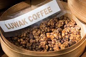 กาแฟชะมดเวียดนามกาแฟสไตล์มอคคา - Product Image 2