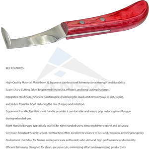 Premium Double <b>Edged</b> Hoof Knife Farrier Stainless Steel Blade <b>Wooden</b> Handle Multifunctional Horseshoe Knife Hoof <b>Trimming</b> Horses - Product Image 3