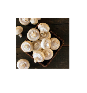 Champiñones congelados de alta calidad a la venta a precios asequibles, ideales para cocinar y preparar comidas - Product Image 5