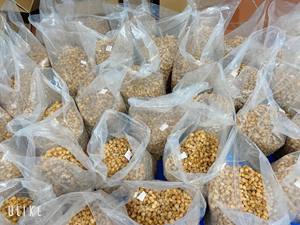 ลำไยแห้งแบบพรีเมี่ยมจากเวียดนามเนื้อสีทองอ่อนหวานตามธรรมชาติลำไย - Product Image 6