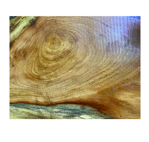 Pachyloba Bulk Quantity Wood <b>Timber</b> for Exporters Builders Woodworkers - Product Image 5