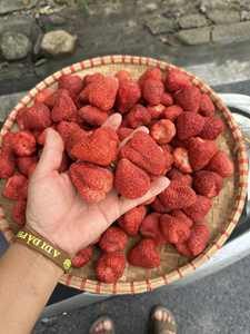 Fraises lyophilisées de qualité supérieure en vrac, collation de fruits naturels croustillants, emballées sous vide, vente en gros OEM - Mme Tarina - Product Image 2