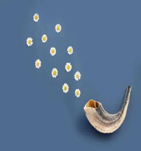 ฮอร์น shofar ฮอร์นทำด้วยมือ - Product Image 3