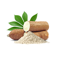 Poudre de tapioca de qualité supérieure, usine du Vietnam, amidon de manioc industriel et de qualité alimentaire