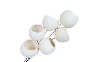 Bell Cup Naturel Séché sur Bâtons Article Décoratif de Noël pour la Maison avec Différentes Tailles et Couleurs - Product Image 6