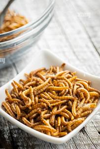 Gusanos de harina crujientes y secos para nutrición de mascotas/Ms.Katty - Product Image 4