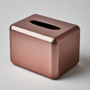 Boîte à mouchoirs décorative en métal de haute qualité, fabriquée à la main pour une performance durable, avec un style élégant et une approche minimaliste - Product Image 5