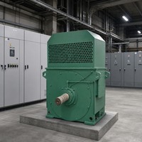 Moteur triphasé AC haute tension WPDJ YKK5002-10 355KW 6000V 593RPM pour équipement minier certifié CE