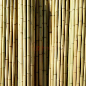 Poteau de bambou de haute qualité poteaux de bambou naturel du Vietnam gros grands poteaux de bambou pour les ordres de construction-BP017 - Product Image 6