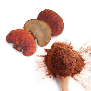 Сломанный Ганодерма <span class=keywords><strong>Lucidum</strong></span> 600 сетка Рейши - Product Image 4