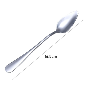 Cuchara de Acero Inoxidable para Raspado de Alimentos, Cuchara de Puré de Frutas, Espejo Cubiertos de Acero Inoxidable, Cuchara de Frutas Cítricas Media Serrada - Product Image 4
