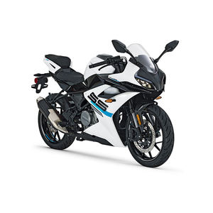 2024 CFMOTO SS 300 - Product Image 2