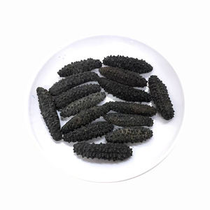 Cao Cấp Khô Dưa Chuột Biển Làm Sạch Đóng Gói Mặt Trời Khô Đại Dương Hoang Dã Thu hoạch Số Lượng Lớn Nhà Cung Cấp Tự Nhiên Cấp Xuất Khẩu Hải Sản Chất Lượng - Product Image 1