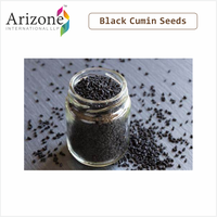 Graines de cumin noir riches en huile certifiées ISO, granulés secs, épice masala, herbe brute transformée