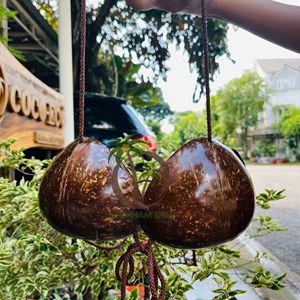 Estilo Hawaiano Coco Eco Brand Coconut Shell Bra Bikini Top para verano Luau Party Halloween Hawaiian Costume Accesorio - Product Image 5