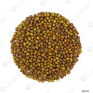 ถั่วเขียวที่ดีที่สุดถั่วเขียวขายส่ง - Product Image 6