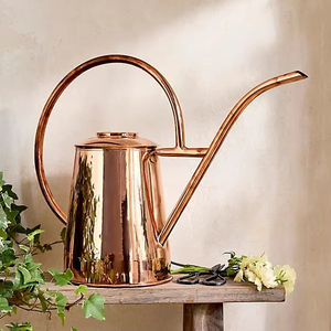 Diseño elegante, gran lata de agua de metal para flores y plantas con construcción duradera y boquilla de flujo fácil para regar - Product Image 1