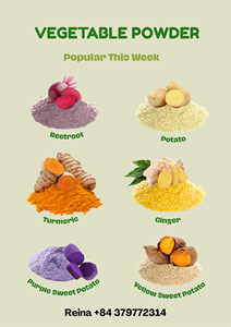 LECHE DE COCO EN POLVO SECA POR SPRAY-SABOR SUAVE Y NATURAL DE VIETNAM - Product Image 5