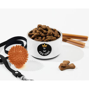 2 in 1 Silicone Pet ciotola Feeder 1000ml capacità modello solido per gatti cucciolo campeggio all'aperto e forma di ciotola da viaggio - Product Image 1