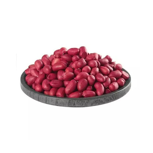 Approvisionnement en vrac Cacahuètes vente en gros prix abordable livraison rapide stock - Product Image 6