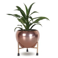 Pot Bunga Besi Logam, Penyangga Kawat Rustic, Alas Kokoh, Hiasan Tengah, Tanaman Kecil, Taman, Lapisan Bubuk, Ramah Lingkungan