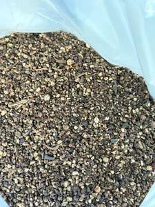 Poivre noir vietnamien en grains 1MM 1.5MM 2MM, traitement brut, AD 50kg/sac, 13.5% LINDA WS +84393250278 Pimienta muy pequena - Product Image 2
