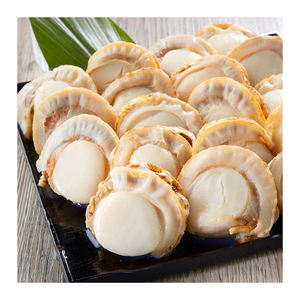 Carne de Vieira Hervida y Congelada BQF Premium sin Concha, Empaque Personalizado para Compras al por Mayor con Procesamiento Confiable - Product Image 4