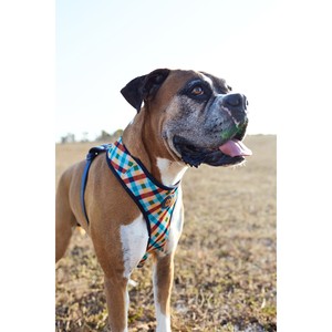 Arnés Ajustable para Perro Phantom, Diseño a Cuadros, Tallas XL y XS, Material de Poliéster y Nailon, con Detalles Metálicos, para Paseos al Aire Libre - Product Image 3