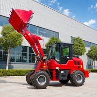Caricatore Multifunzione con Capacità di Carico 1000kg e Benna da 1.0CBM, Facile Utilizzo, Struttura Robusta per Lavori Agricoli e Edili