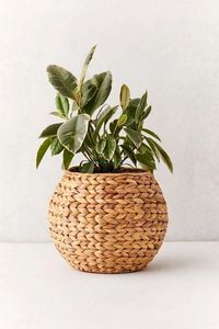 Jardinière élégante en jacinthe d'eau faite à la main pour plantes d'intérieur et d'extérieur, jardin domestique, matériau écologique - Product Image 3