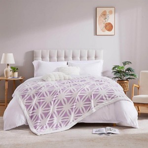 <b>Luxury</b> Velvet Tassel Throw <b>Blanket</b> | Winter Eco-Friendly Soft Material Folded Design Home Use Customizable - Product Image 2