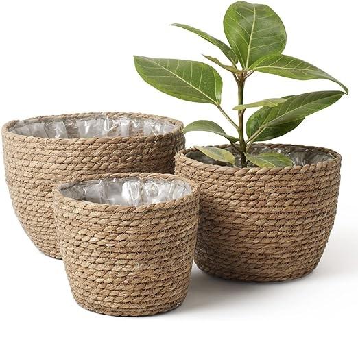 ตามที่แสดง