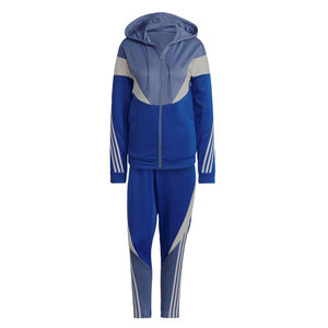 Nouvel ensemble de survêtement décontracté à capuche pour femme grande taille 2026, couleur unie, vêtements de sport d'hiver à manches longues 100 % coton, couleur personnalisée, vente en gros OEM - Product Image 1