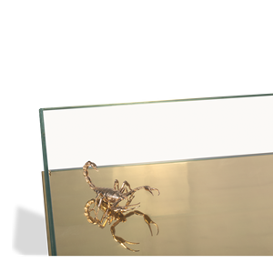 Contemporary Metamorphosis Center <b>Table</b> Durable Glass and Metal Home Furniture with <b>Mirrored</b> Feature for Living Room Use - Product Image 6
