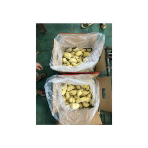Vietnam congelado Durian fruta entera IQF sin semillas envasado al vacío cremoso dulce Aroma exportación calidad suministro - Product Image 6