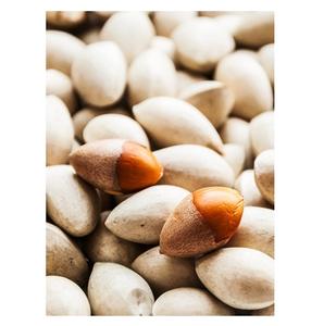 Stock en vrac disponible de noix de Ginkgo biologiques séchées aux prix les plus bas - Product Image 1