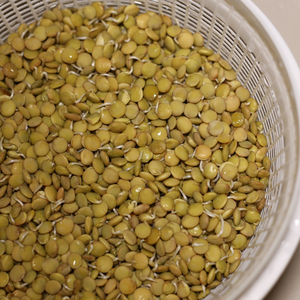 100% lentilles séchées naturelles offertes au prix d'usine disponibles en gros emballage lentilles fraîches fournies directement - Product Image 1