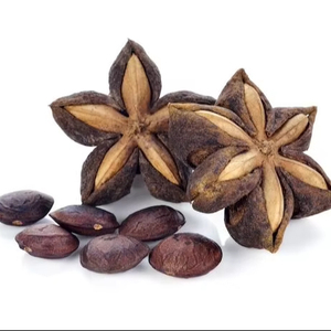 Nueces de Sacha Inchi de Vietnam |   Alto en Nutrientes |   Proveedor Mayorista de Exportación de Vietnam, Grado Premium, Natural |   Señor Pierre Luu - Product Image 1