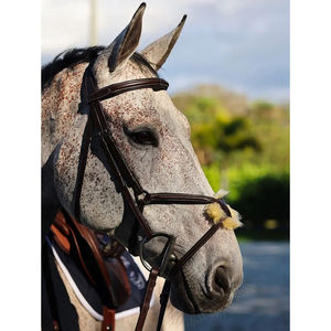 Equipo de Equitación Deportiva de Alta Calidad Estilo 2026, Cabestro Ajustable para Caballo, Brida para Caballo - Product Image 6