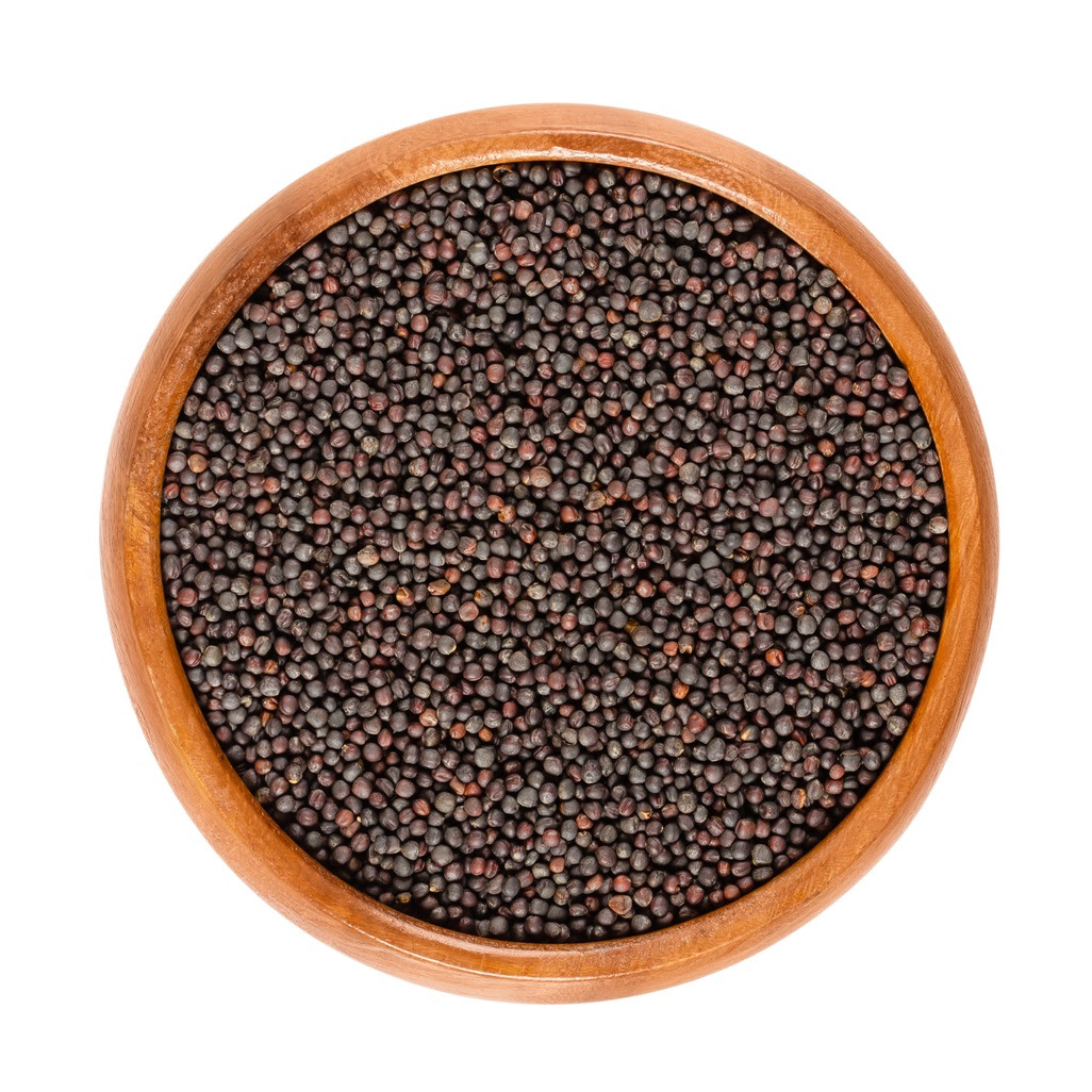 Organic Rapeseed Meal/Canola Seed Excellent Quality Grain for Food Use Organic Flax & Chia Seed for Sale