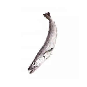 Vente à prix réduit de merlu frais congelé poisson entier, merlu congelé filet de poisson merlu - Product Image 6