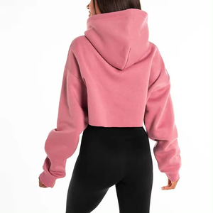 Ventes en gros de sweats à capuche courts pour femmes avec logo personnalisé, sweats à capuche courts en coton pour femmes, sweats à capuche courts à la mode, taille plus, conception OEM - Product Image 2