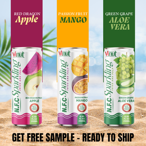 Bebida de jugo de manzana dragón rojo brillante de 250ml-Fábrica, etiqueta privada disponible, OEM/ODM, muestra gratis y venta al por mayor, NFC - Product Image 5