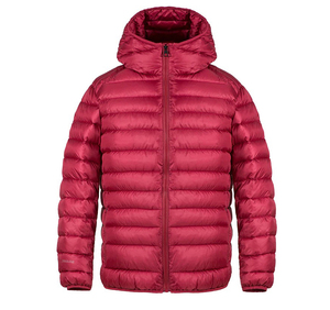 Veste rembourrée d'hiver décontractée de haute qualité Streetwear bouffant avec décoration en fourrure col à capuche Logo personnalisé - Product Image 1