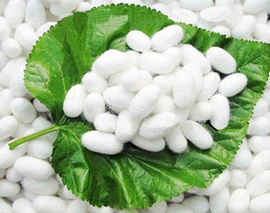 NATURAL FIBER COCOON / for BEAUTY, CRAFT, and COMFORT / MADE in VIETNAM - Product Image 3