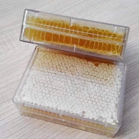 100% Gâteau en nid d'abeille aux fleurs naturelles Délice Dessert riche, cru et prêt à savourer, originaire du Vietnam Goût