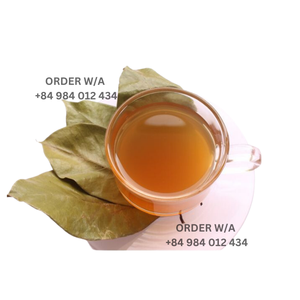 Hojas de Guanábana secas Hojas perfectas, no Gmo verificado, 100% Natural - Product Image 6