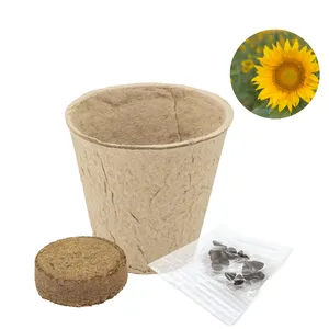 Barattolo di Semi di Limena Biodegradabile, Gadget Ecologico per Regali Promozionali e Aziendali - Product Image 1