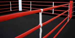 Customized <b>Boxing</b> MMA Wrestling <b>Ring</b> Cover Floor <b>Ring</b> Cover with Club Logo <b>Ring</b> Rope Covers Wholesale - Product Image 2